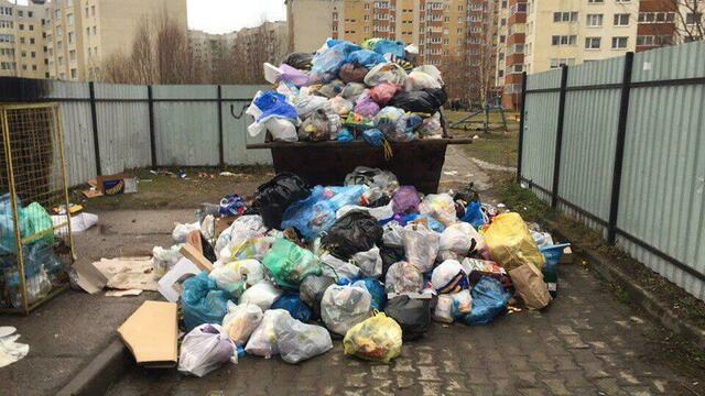 Региональный оператор заявил, что мусорного коллапса в Калининграде не было 