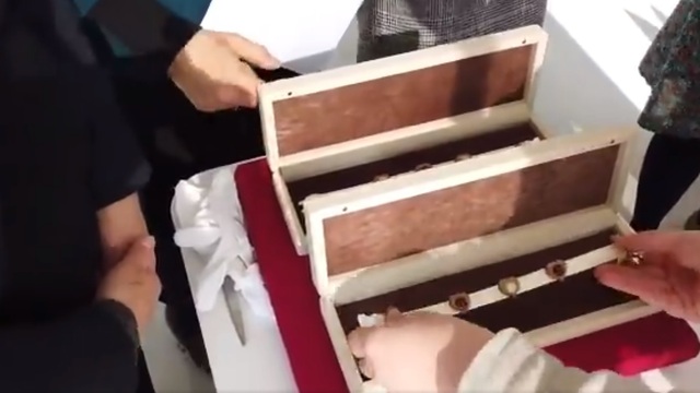 Японские коты получили подарки от зеленоградских собратьев (видео)