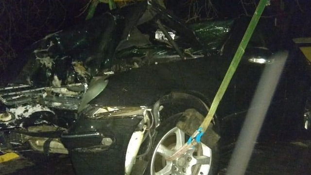 В Правдинском районе шестилетняя пассажирка пострадала при столкновении Mercedes с деревом (фото)