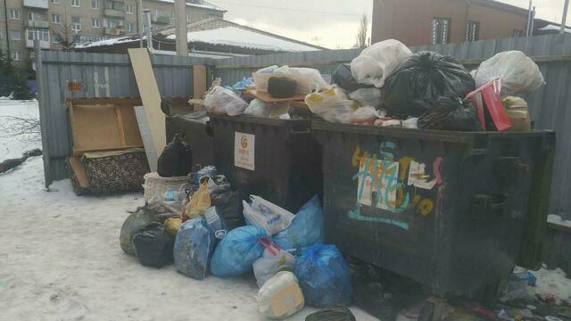 На шести улицах Калининграда не вывозят мусор (фото)