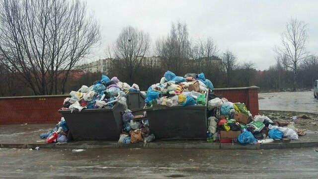 В Калининграде целый месяц не вывозился крупногабаритный мусор
