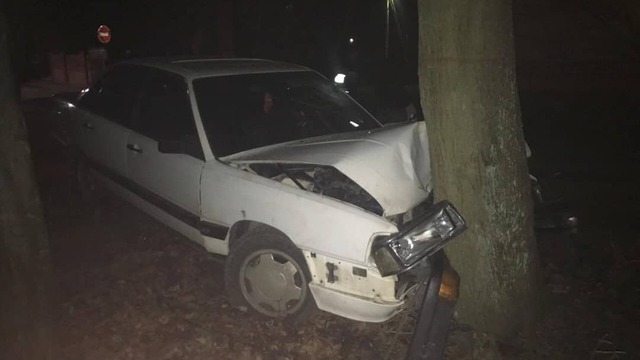 В Светлогорском районе Audi врезался в дерево, пострадал водитель (фото)