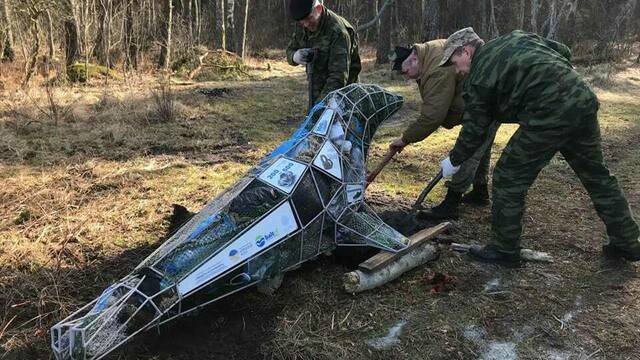 На Куршской косе из мусора создали инсталляцию “Погибающий тюлень” (фото)