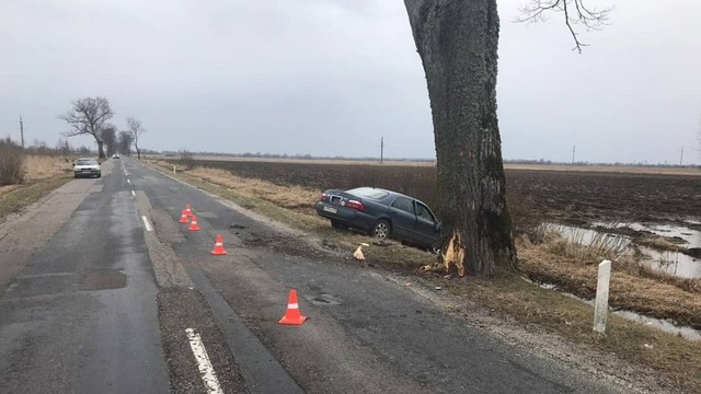 Под Полесском Mazda с пьяным водителем вылетела с дороги, пострадал пассажир (фото)