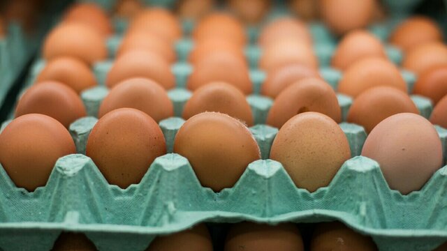 В Россельхознадзоре предупредили о возможном заносе птичьего гриппа в регион с контрафактными яйцами
