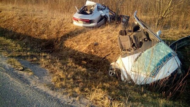 В Багратионовском районе Mazda разорвало на две части от столкновения с деревом (фото)