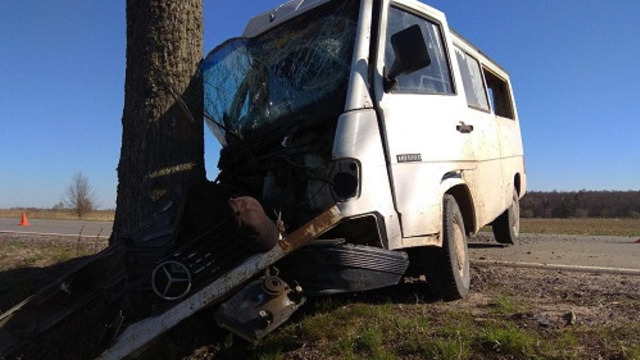 В Багратионовском районе Mercedes с пьяным водителем врезался в дерево (фото)