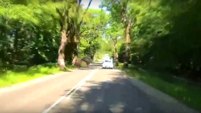 В Зеленоградском районе автомобиль после столкновения с деревом упал на бок, прошёл юзом и встал на колёса (видео)