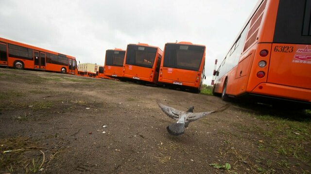 Внедрение электронного билета во всех автобусах Калининграда отсрочили до конца июля  