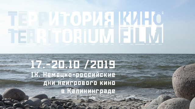 Какие фильмы покажут на фестивале "Территория кино" в Калининграде