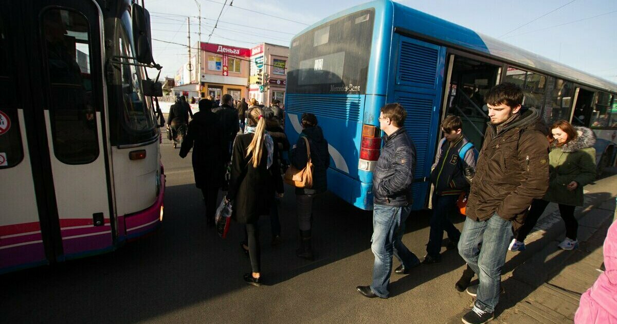 Зеленоградск транс. Зеленоградск-транс Калининград. ООО Зеленоградск транс. Автобусы Зеленоградск транс. Новые автобусы Зеленоградск транс.