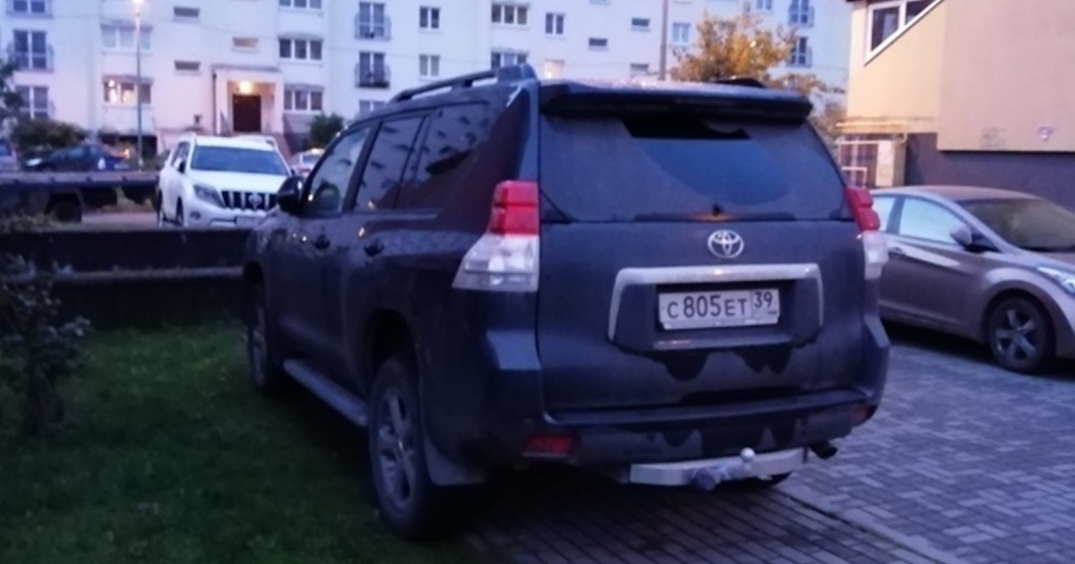 "Водитель, ты судак": читатели "Клопс" определили нарушителя недели ...