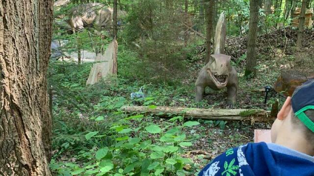 3D-скульптуры, квест в лесу, нескучная лекция про безопасность: Куда пойти с детьми на этой неделе