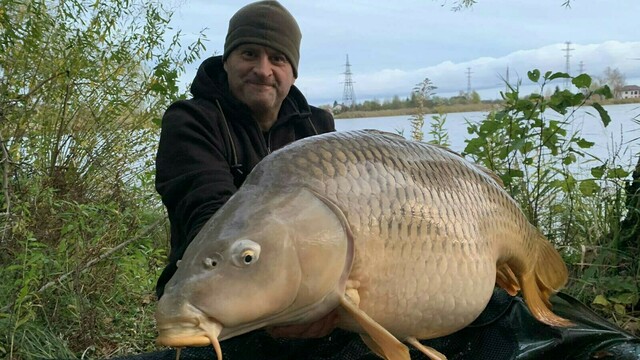 Калининградский рыбак поймал карпа весом 26,4 кг (фото, видео)