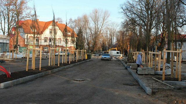 В Зеленоградске высадят вязы и боярышник из немецкого питомника  