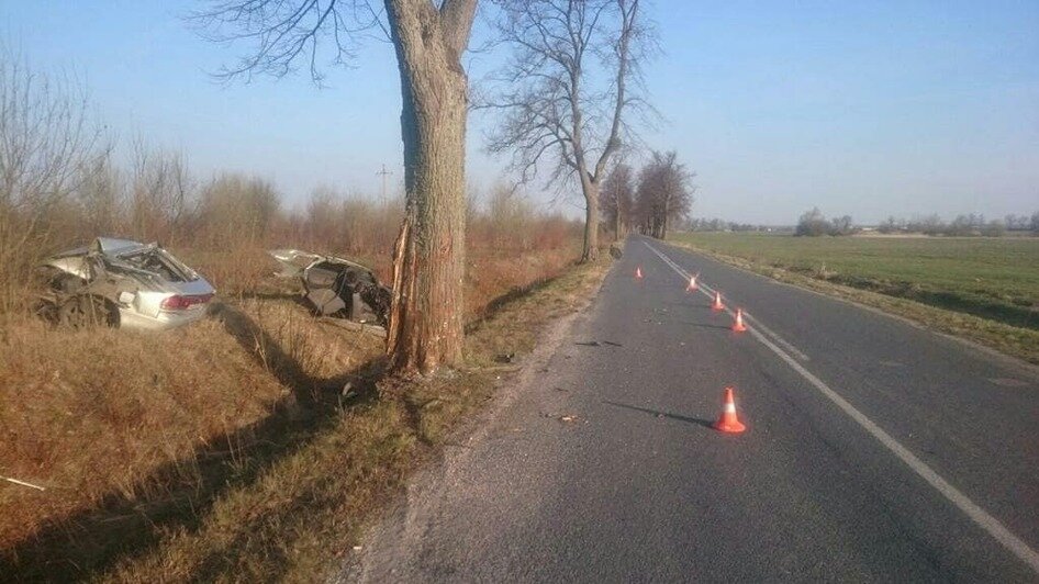 В Багратионовском районе Mazda разорвало на две части от столкновения с деревом (фото) - Новости Калининграда | Фото: gibdd39 / Instagram