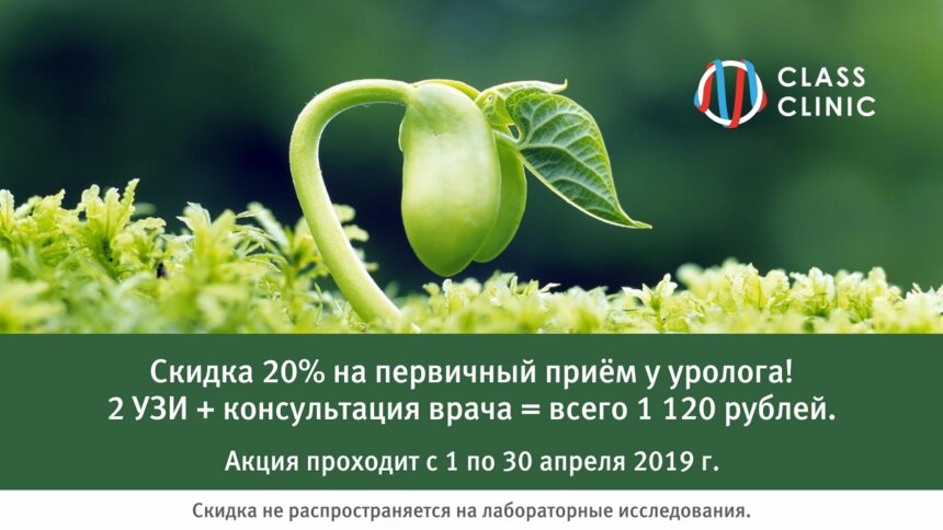 Два УЗИ и консультация уролога-андролога со скидкой 20% — за 1120 рублей - Новости Калининграда