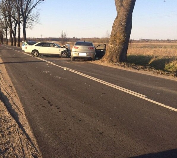 В Гурьевском районе лоб в лоб столкнулись Audi и Mitsubishi, есть пострадавшие (фото, видео) - Новости Калининграда | Фото: пресс-служба УМВД России по Калининградской области