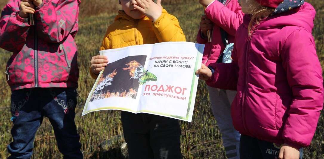 Калининградские дошкольники вышли на сожжённое поле с плакатами против пала травы - Новости Калининграда | Фото: Никита Никитин