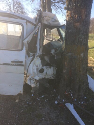 В Багратионовском районе Mercedes с пьяным водителем врезался в дерево (фото) - Новости Калининграда | Фото: читатель &quot;Клопс&quot;