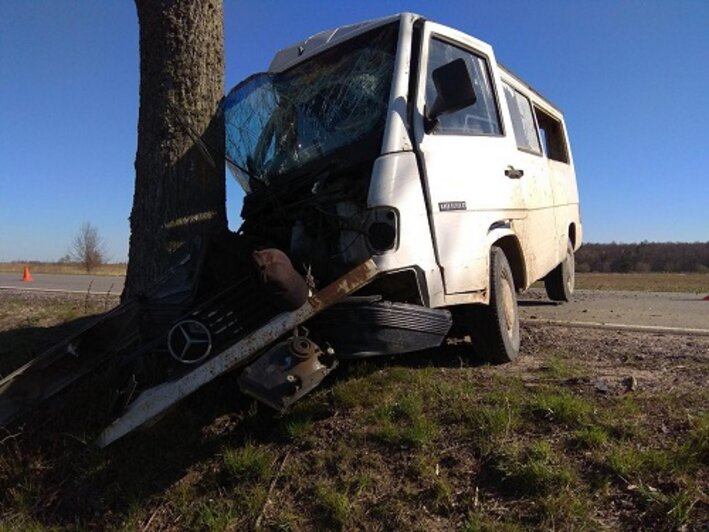 В Багратионовском районе Mercedes с пьяным водителем врезался в дерево (фото) - Новости Калининграда | Фото: ГИБДД