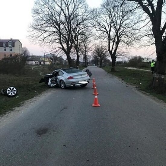 В Зеленоградском районе BMW превысил скорость и врезался в дерево - Новости Калининграда | Фото: пресс-служба регионального УМВД