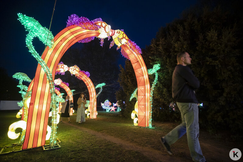 В Калининграде открылся Фестиваль гигантских китайских фонарей (фоторепортаж) - Новости Калининграда