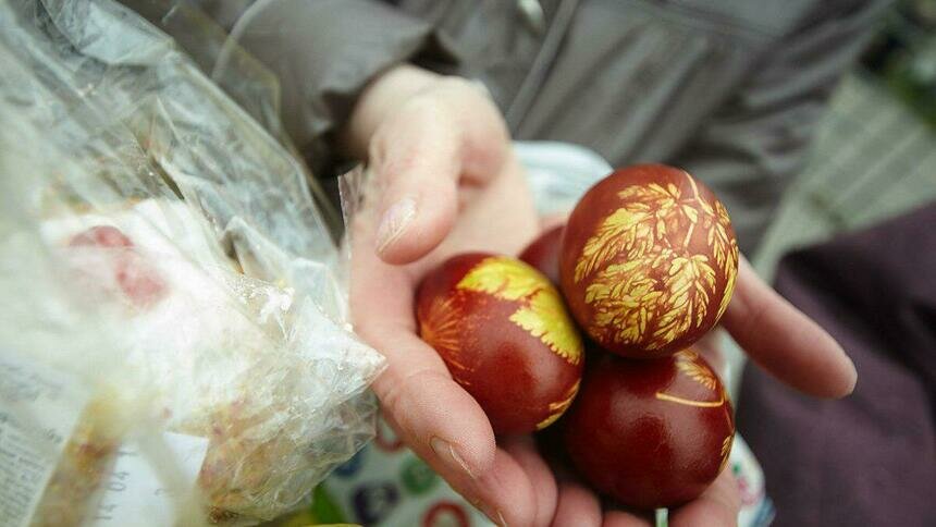 Как правильно красить яйца на Пасху: советы Роспотребнадзора - Новости Калининграда | Архив &quot;Клопс&quot;