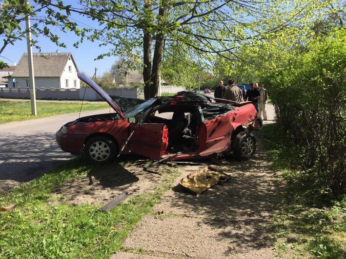 В Зеленоградском районе Opel врезался в дерево, пострадал 19-летний водитель (фото) - Новости Калининграда | Фото очевидца
