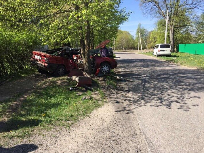 В Зеленоградском районе Opel врезался в дерево, пострадал 19-летний водитель (фото) - Новости Калининграда | Фото очевидца
