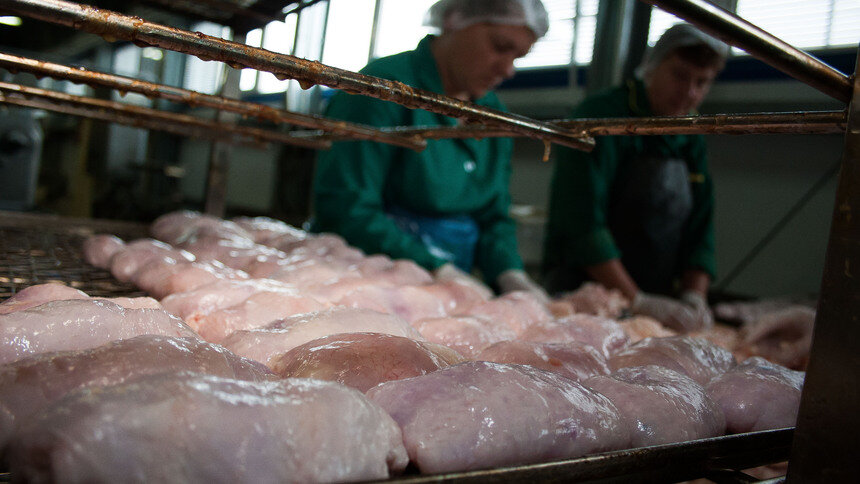 Эксперты рассказали, почему нельзя мыть сырую курицу - Новости Калининграда | Архив &quot;Клопс&quot;