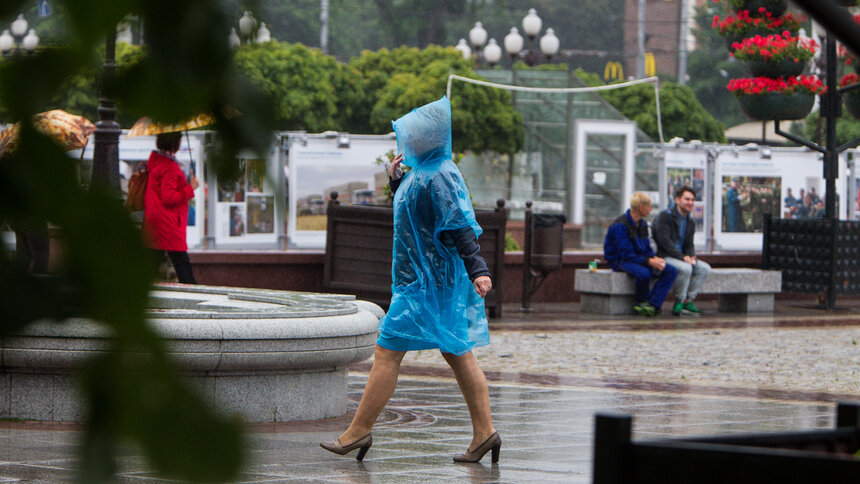 Калининградский метеоролог назвал причину резких изменений погоды в апреле и мае - Новости Калининграда | Архив &quot;Клопс&quot;