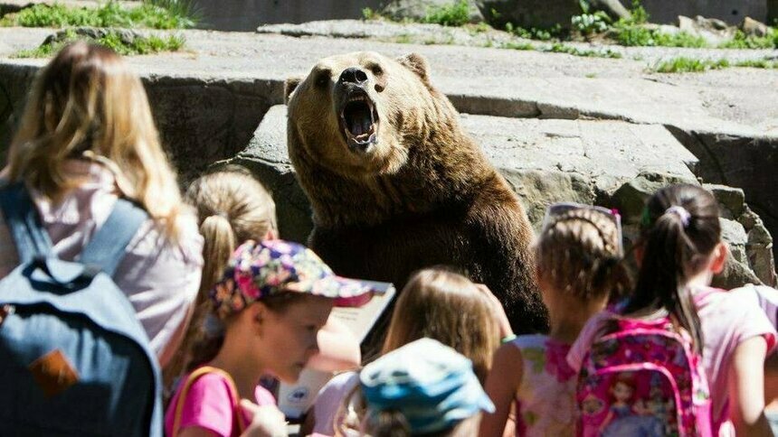 Калининградский зоопарк 1 июня вдвое снизит стоимость билетов для посетителей младше 18 лет - Новости Калининграда | Архив &quot;Клопс&quot;