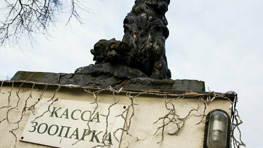 В Калининградском зоопарке появятся три новых вида животных - Новости Калининграда | Архив &quot;Клопс&quot;