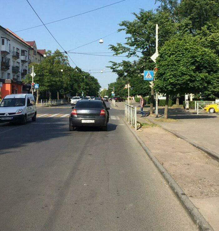 &quot;Сам себе гаишник&quot;: калининградцы жалуются на ветки деревьев, закрывающие светофор и дорожные знаки - Новости Калининграда | Фото: читатель &quot;Клопс&quot;