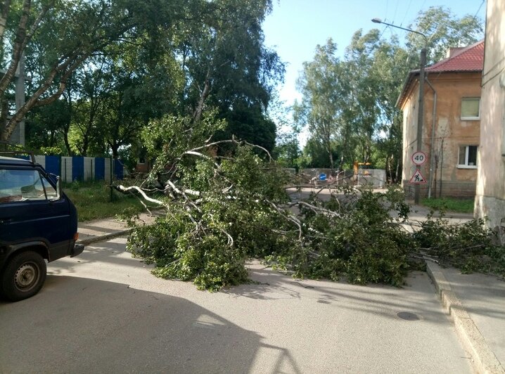Что сильный ветер натворил в регионе: калининградцы выкладывают фото в соцсетях - Новости Калининграда | Фото: очевидец