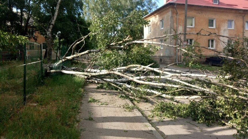 Что сильный ветер натворил в регионе: калининградцы выкладывают фото в соцсетях - Новости Калининграда | Фото: очевидец