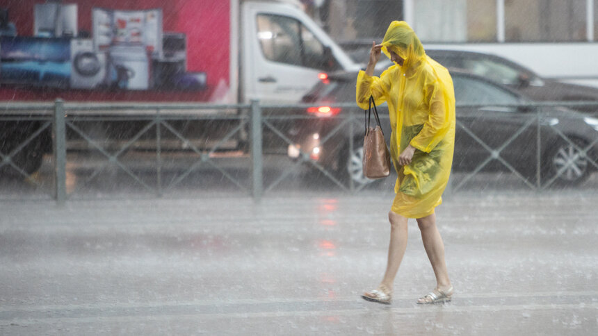 Мэрия Калининграда будет бесплатно раздавать дождевики на Дне города - Новости Калининграда | Архив &quot;Клопс&quot;