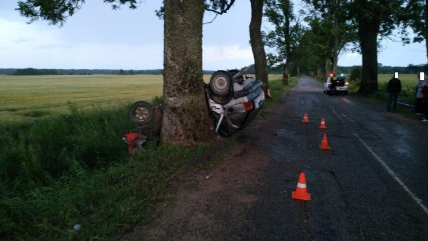 В Правдинском районе Volkswagen врезался в дерево, водитель погиб - Новости Калининграда | Фото: пресс-служба регионального УМВД