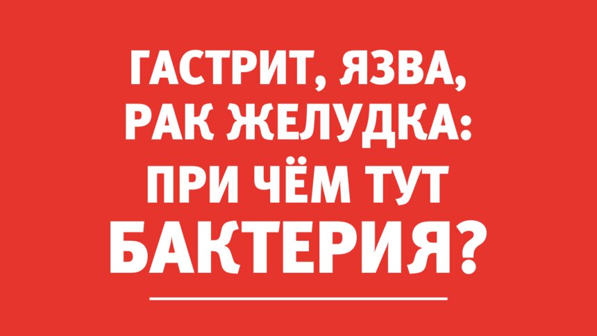 Гастроэнтеролог: Бактерия хеликобактер пилори — одна из причин гастрита, рака желудка и язвы - Новости Калининграда