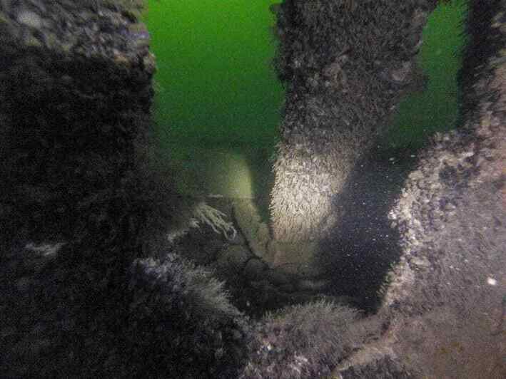 На дне моря вблизи Зеленоградска обнаружено судно, затонувшее около 90 лет назад (фото) - Новости Калининграда | Фото: пресс-служба Музея Мирового океана