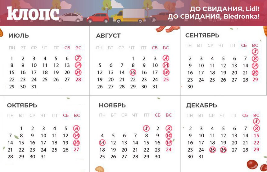 По каким дням во второй половине лета будут закрыты магазины в Польше (календарь) - Новости Калининграда
