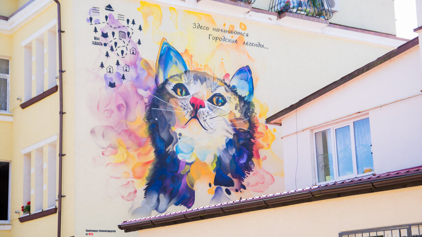 Легенды и предания: какую тайну скрывает новое граффити с котиком в Зеленоградске - Новости Калининграда