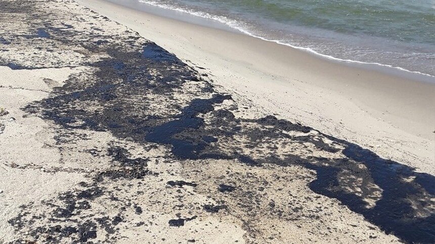 На Балткосе очистили около 800 метров берега от нефтепродуктов, разлившихся из танкера 17 июля  - Новости Калининграда | Фото: пресс-служба администрации БГО