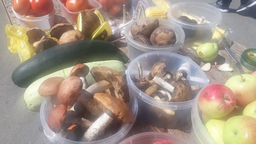 Подосиновки, лисички, опята: какие грибы и почём продают в Калининграде - Новости Калининграда | Фото: Юрате Пилюте