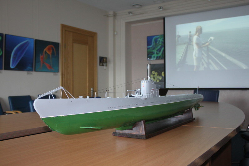 Музею Мирового океана передали модель затонувшей в Балтийском море советской подлодки С-4 (фото) - Новости Калининграда | Фото: пресс-служба Музея Мирового океана