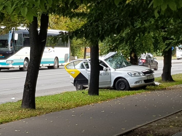 На ул. Невского в Калининграде такси врезалось в дерево, есть пострадавшие (фото) - Новости Калининграда | Фото очевидцев