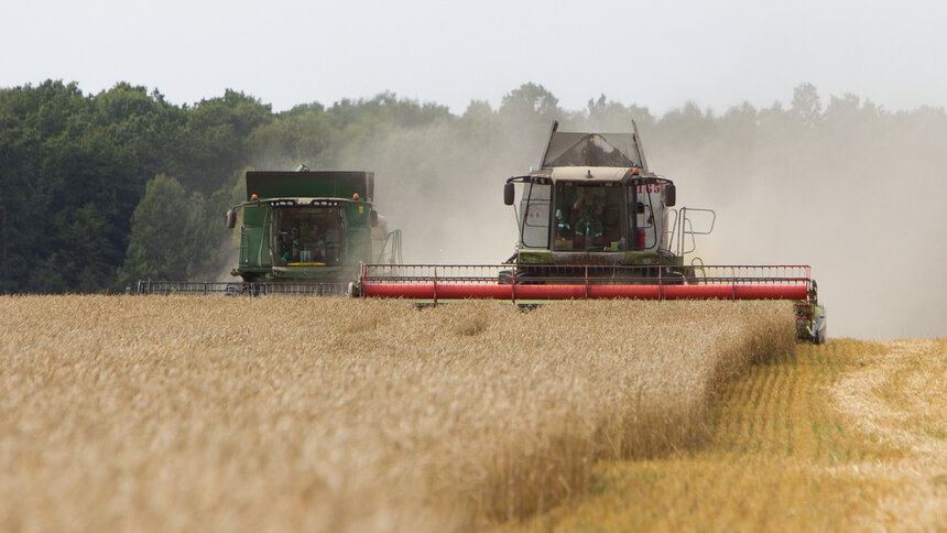 В Калининградской области урожайность пшеницы вдвое превысила средние показатели по стране - Новости Калининграда | Архив &quot;Клопс&quot;