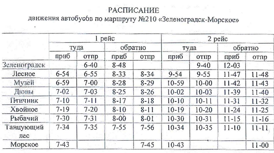 С 12 августа изменится расписание автобуса Зеленоградск — Куршская коса - Новости Калининграда