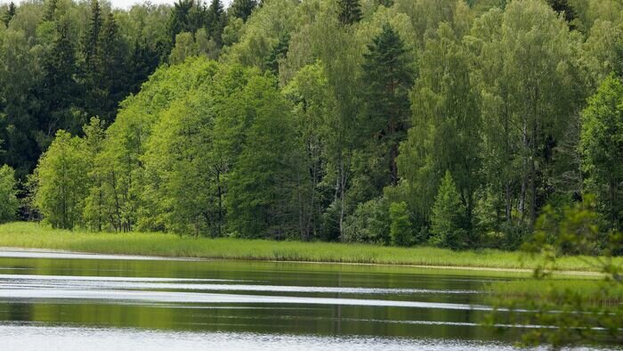 Озеро Камышевое, &quot;Природный парк &quot;Виштынецкий&quot;, фонд &quot;Исток&quot;